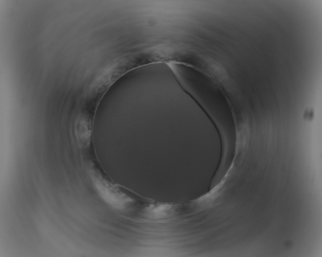 X0000111200186200907151422