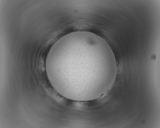 X0000111200187200907151422