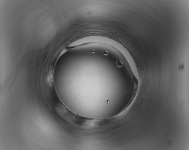 X0000111200190200907151422