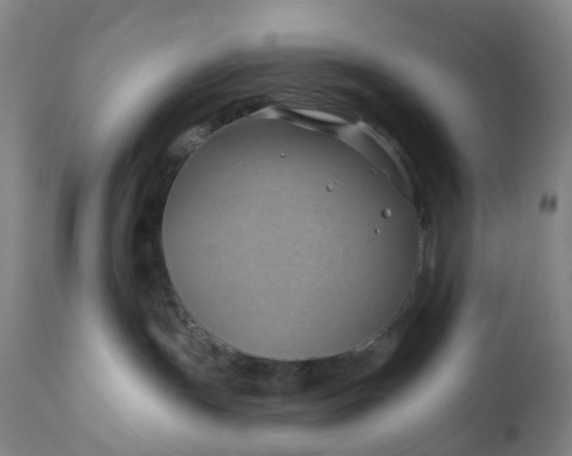 X0000111200191200907151422