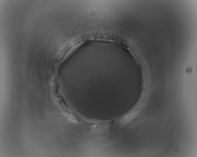 X0000111200192200907151422