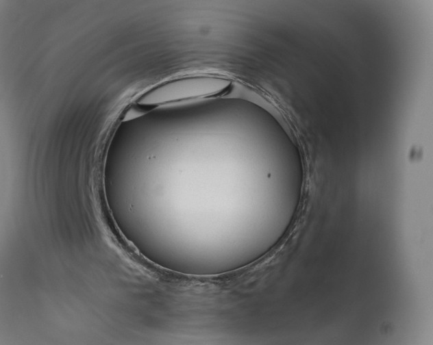 X0000111200193200907151422