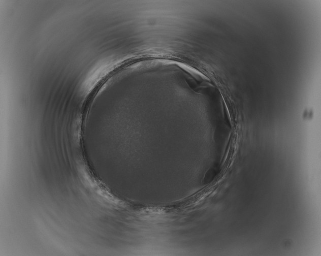 X0000111200194200907151422