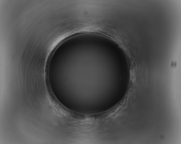 X0000111200196200907151422