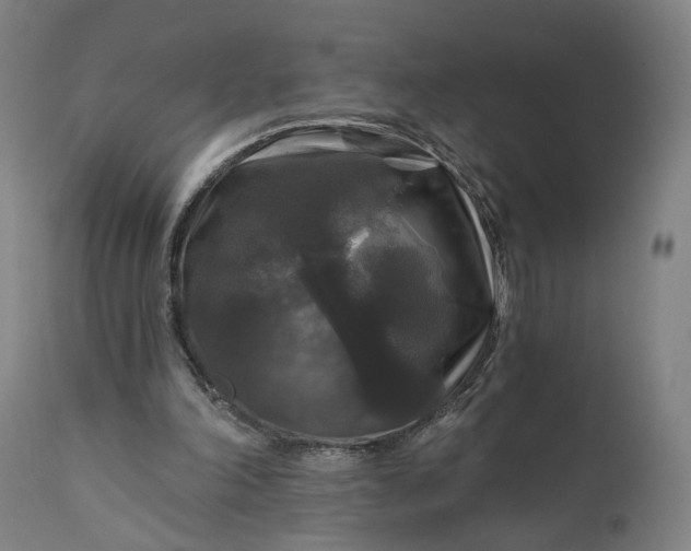 X0000111200198200907151422