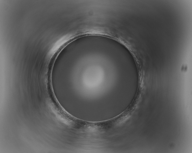 X0000111200199200907151422