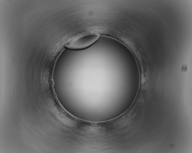 X0000111200201200907151422