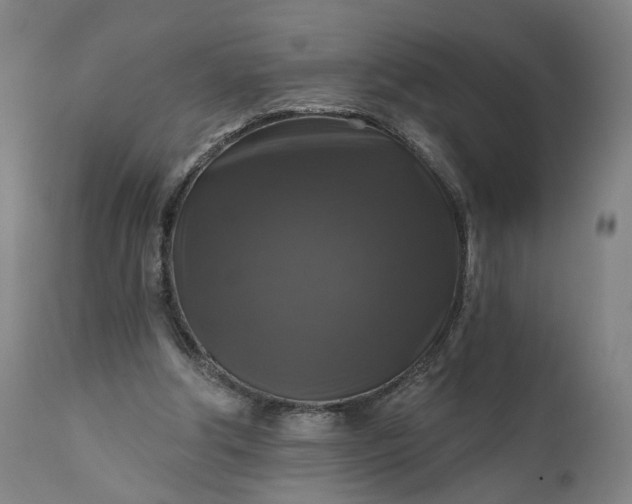 X0000111200202200907151422