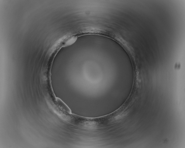 X0000111200203200907151422