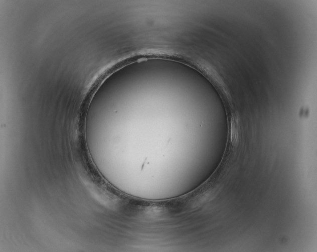 X0000111200204200907151422