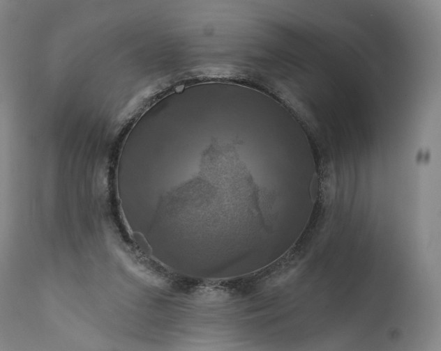 X0000111200207200907151422