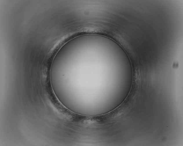 X0000111200208200907151422