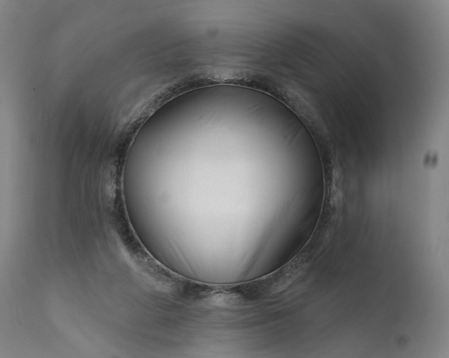 X0000111200210200907151422