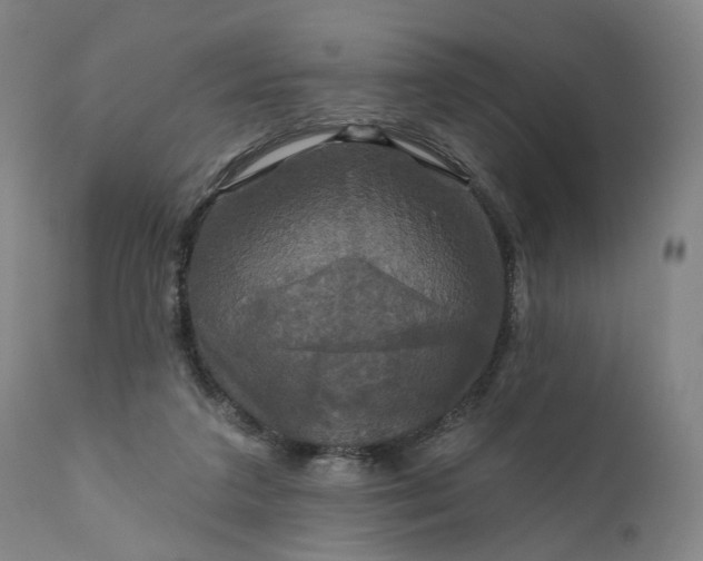 X0000111200211200907151422