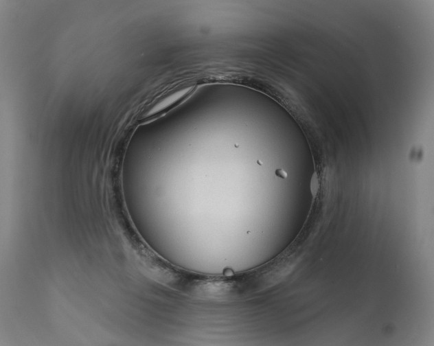 X0000111200217200907151422