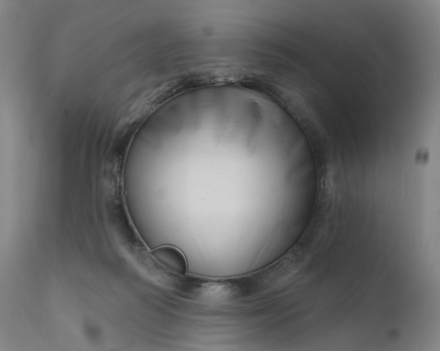 X0000111200218200907151421