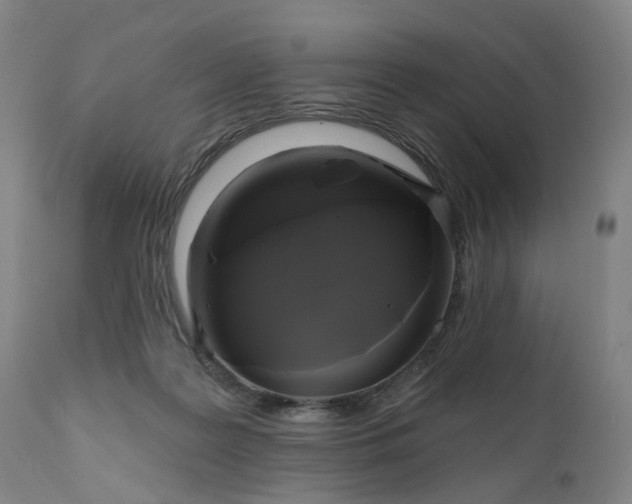 X0000111200219200907151421