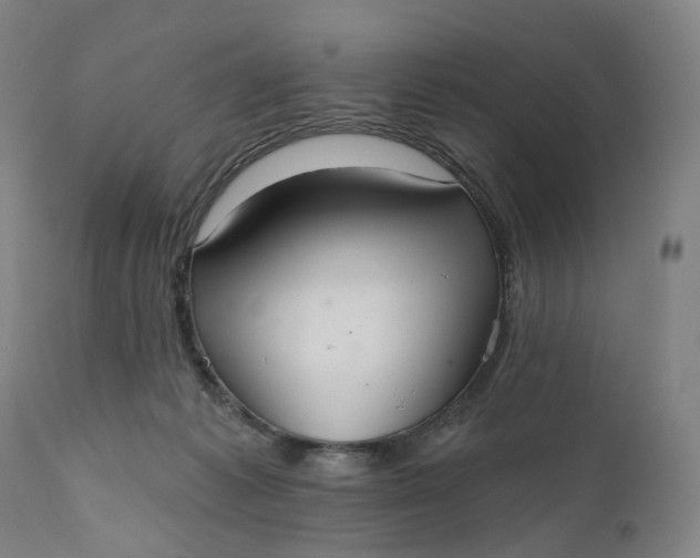 X0000111200221200907151421