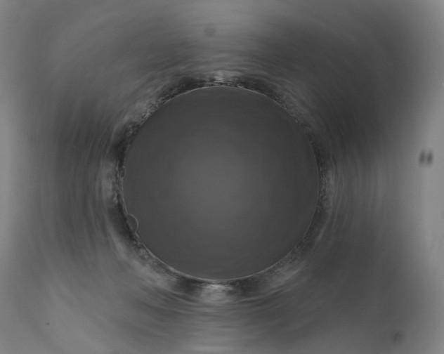 X0000111200222200907151421