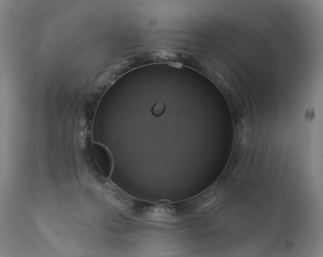 X0000111200223200907151421