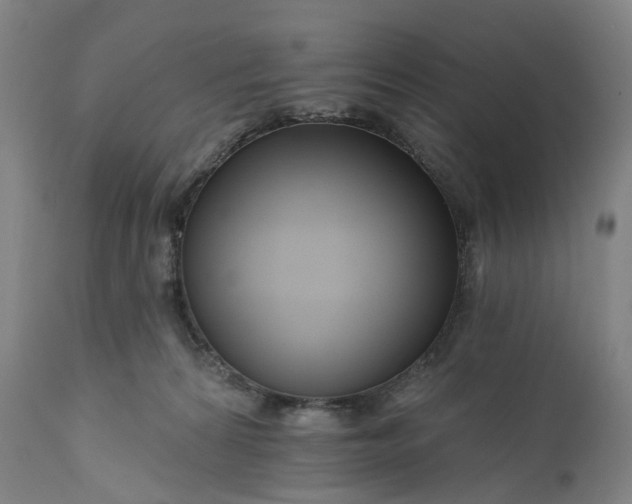 X0000111200224200907151421