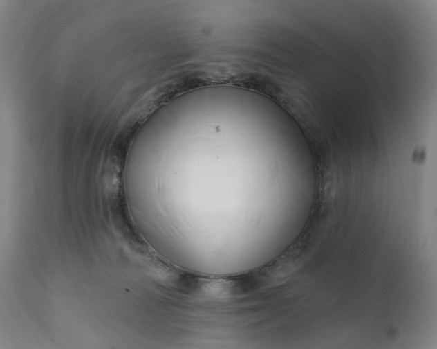 X0000111200226200907151421