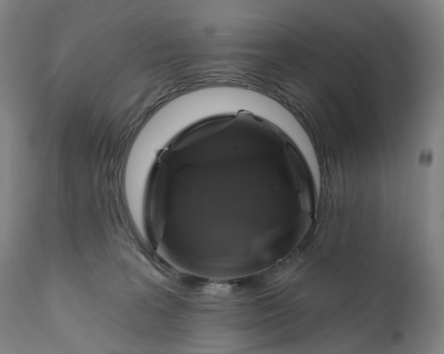 X0000111200227200907151421