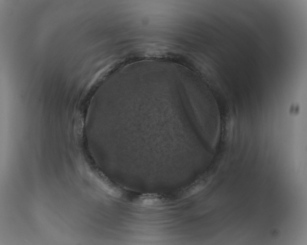 X0000111200228200907151421