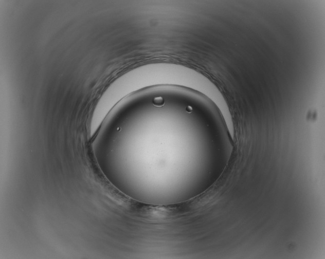 X0000111200229200907151421