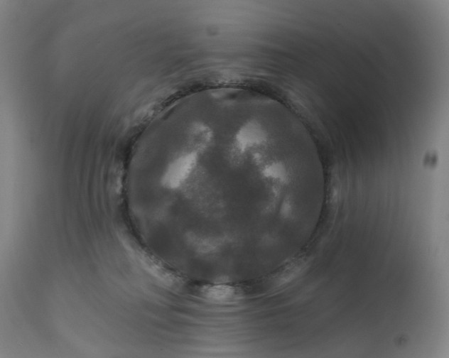 X0000111200230200907151421