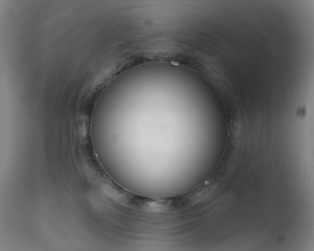 X0000111200232200907151421