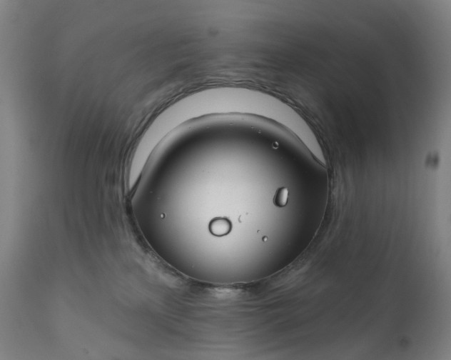 X0000111200233200907151421