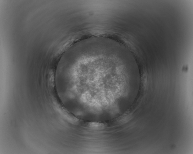 X0000111200234200907151421