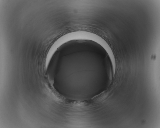 X0000111200235200907151421