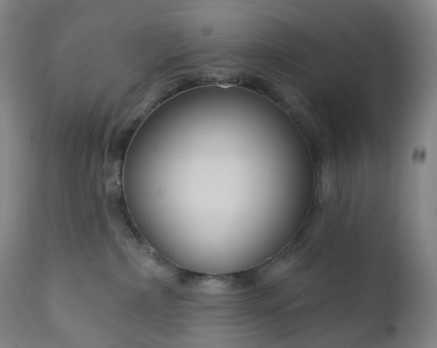 X0000111200236200907151421