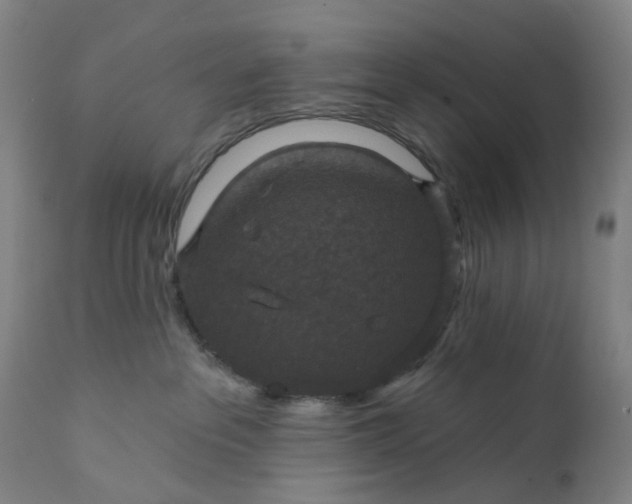 X0000111200237200907151421