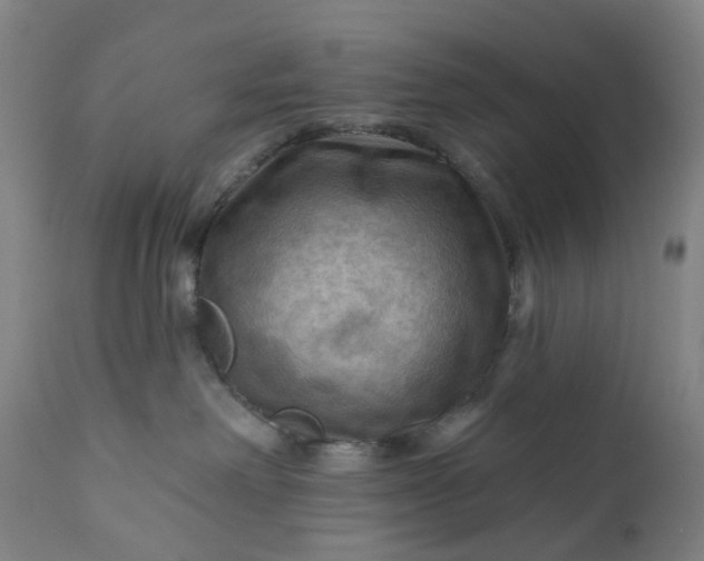 X0000111200238200907151421