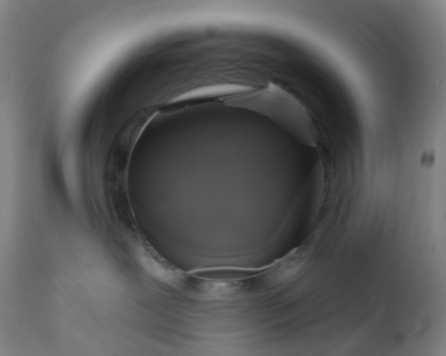 X0000111200239200907151421