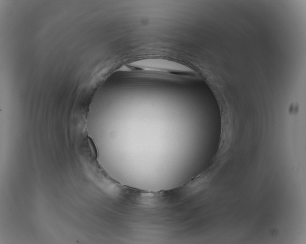 X0000111200240200907151421