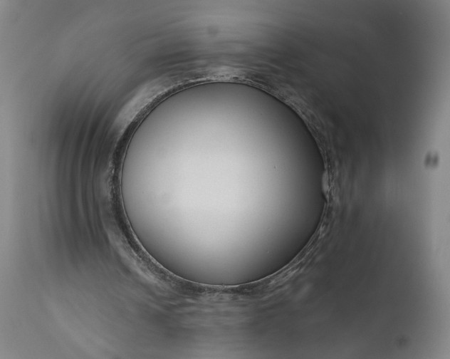 X0000111200242200907151420