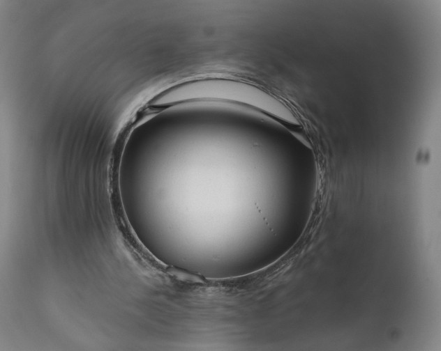 X0000111200244200907151420