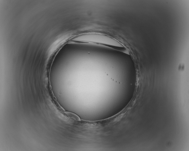 X0000111200245200907151420