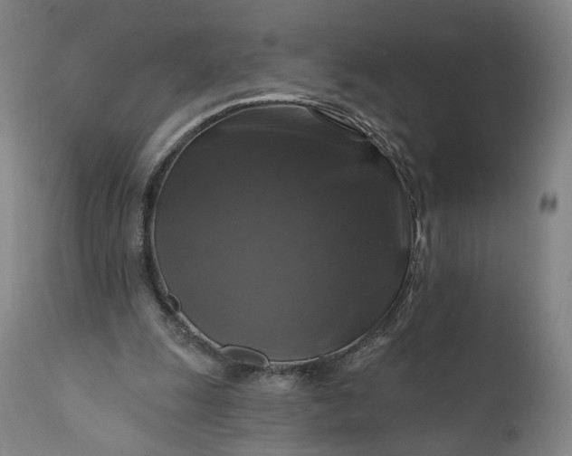 X0000111200247200907151420