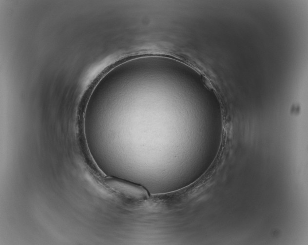 X0000111200248200907151420