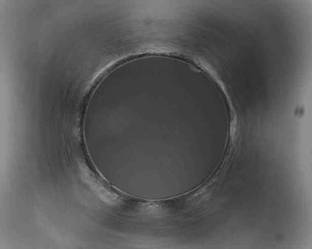 X0000111200249200907151420