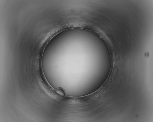 X0000111200250200907151420