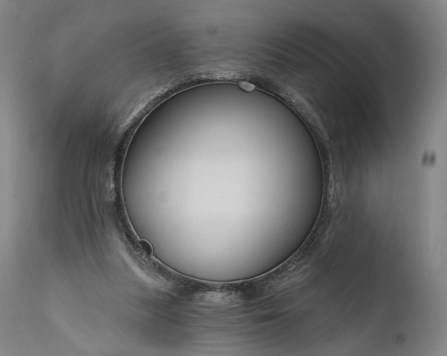 X0000111200251200907151421