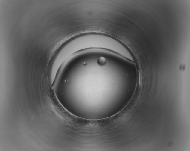 X0000111200252200907151421