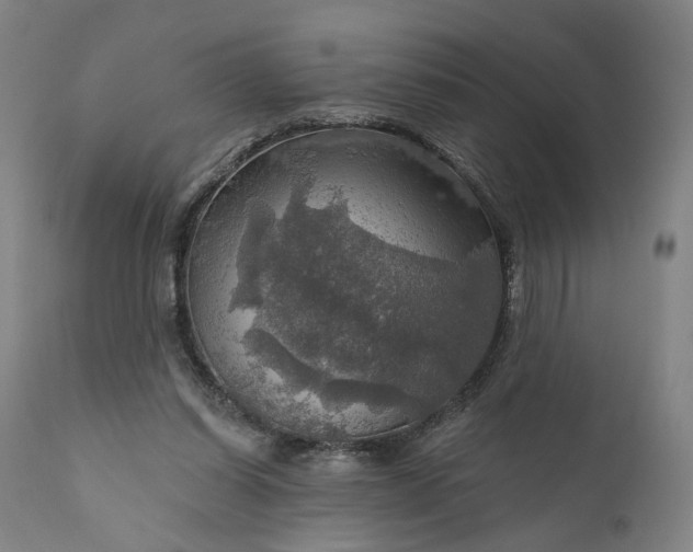 X0000111200254200907151421