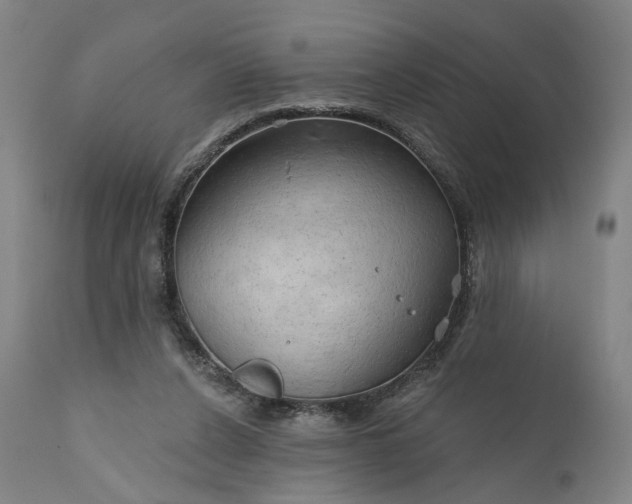 X0000111200256200907151421